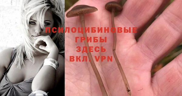 кокс Балахна