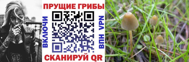 где купить наркоту  Армавир  Галлюциногенные грибы ЛСД 